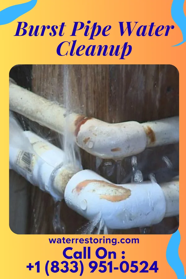 Burst Pipe Water Cleanup in Sumner, WA