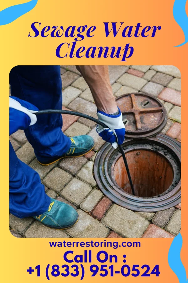 Sewage Water Cleanup in Sumner, WA
