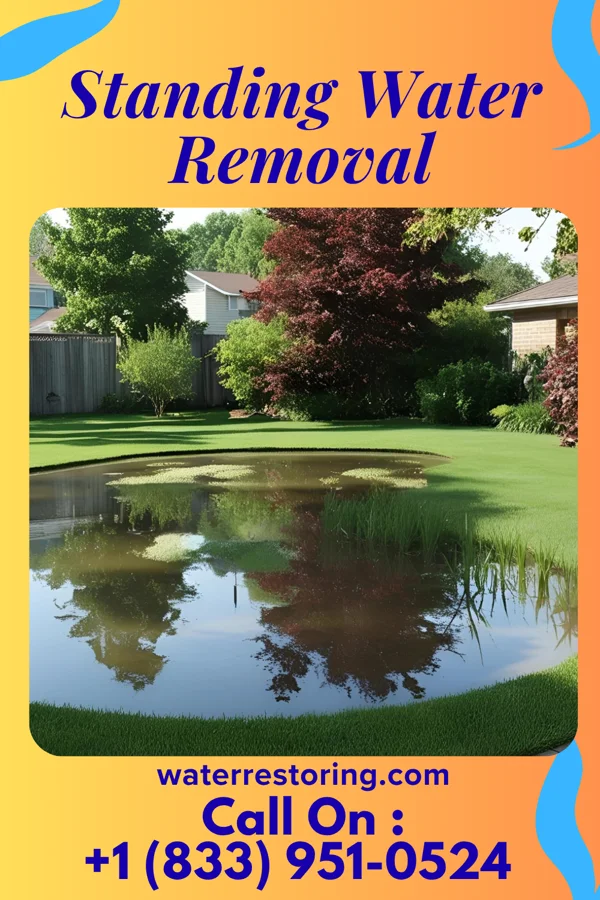 Standing Water Removal in Sumner, WA